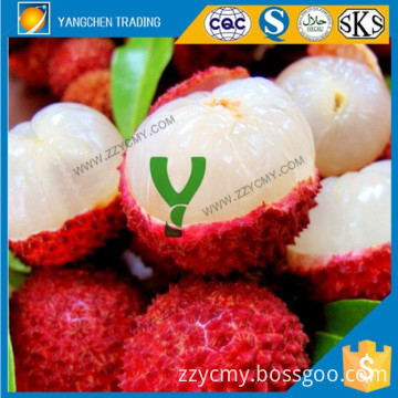 2015 canned lychee kosher fresh fruit